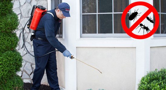 Saray Hamam Böceği İlaçlama böcek ilaçlama ve haşere kontrolü — ilaclama-tr.com